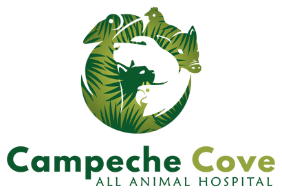 Campeche Cove All Animal Hospital